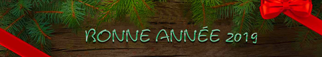 Bonne année 2019 1
